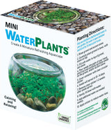 Mini WaterPlants - Create A Miniature Aquascape