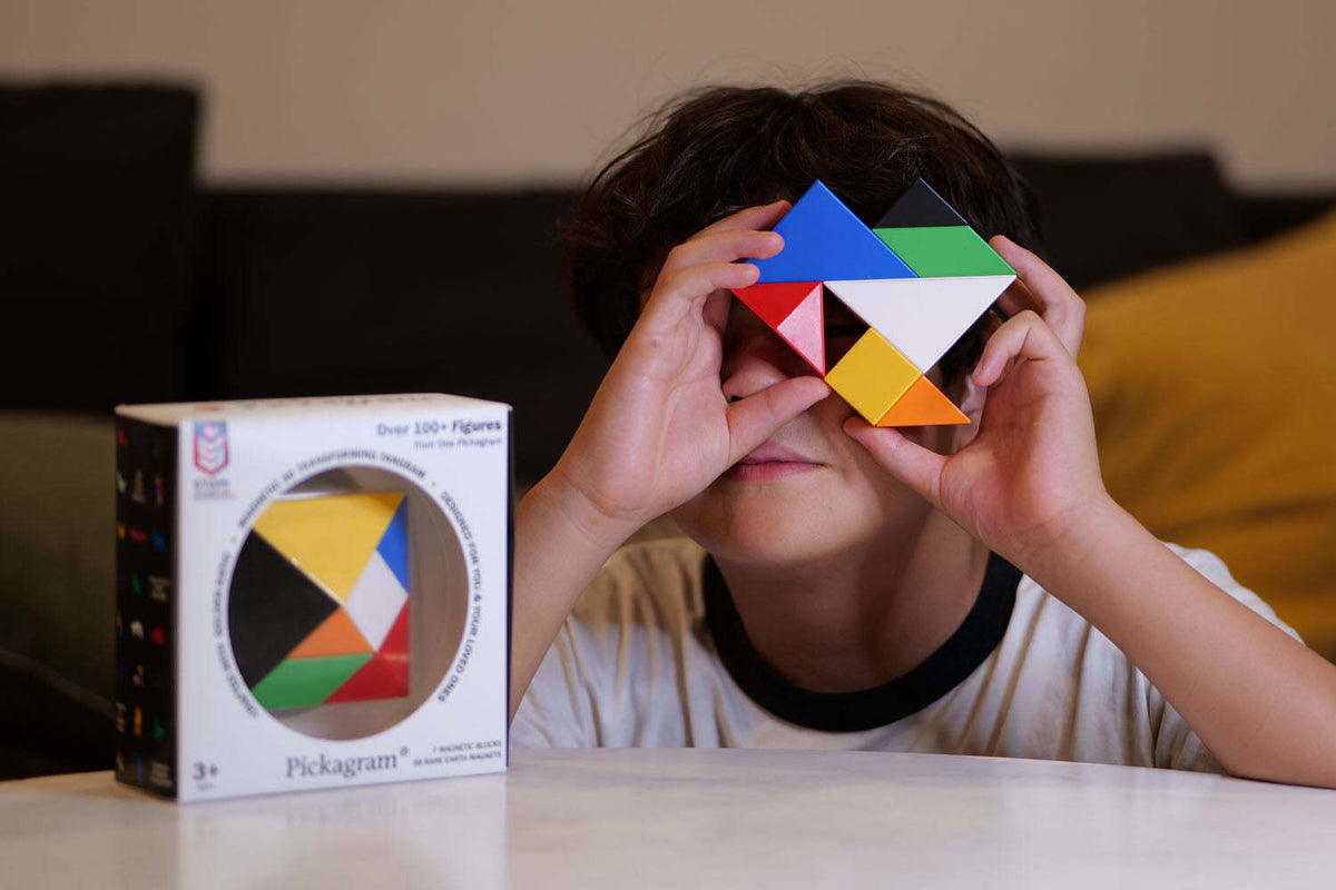 Pickagram Magnetic 3D Art Tangram Puzzle