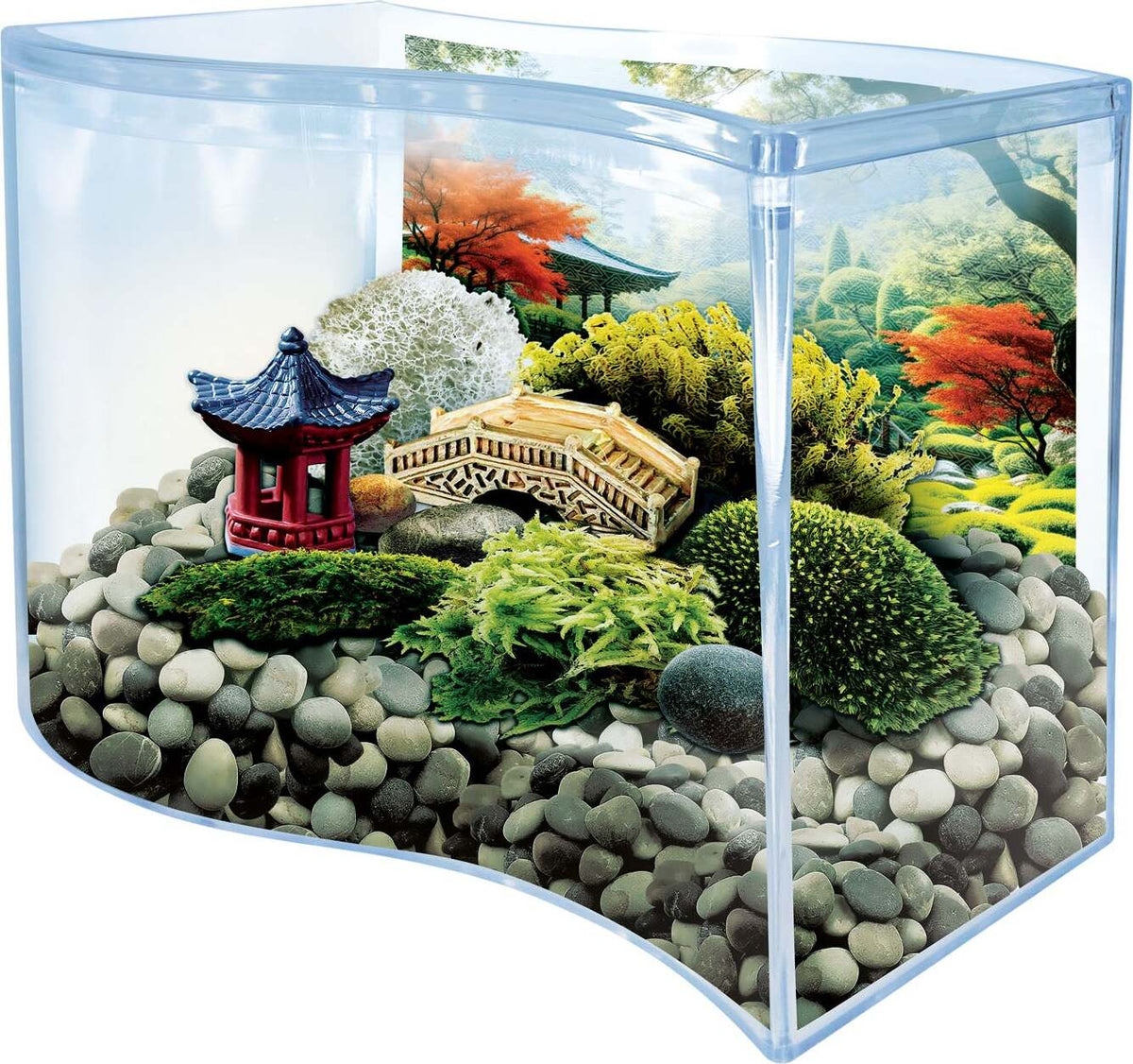 Bonsai Moss & Rock Garden Terrarium
