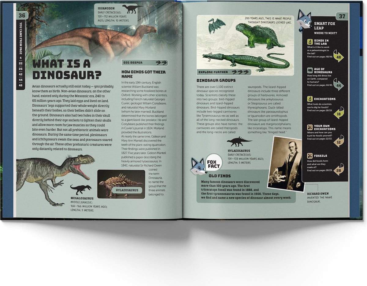 Smart Fox: Dinosaurs