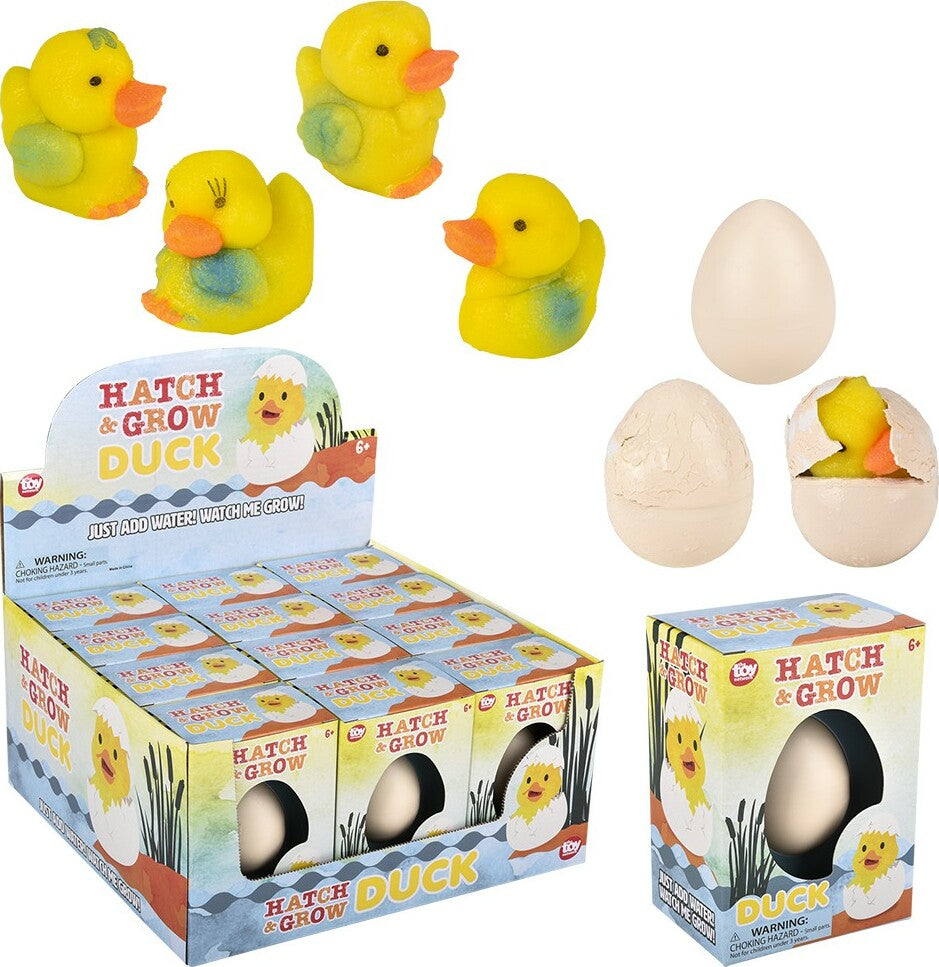 Small Hatch and Grow Duck Egg (assortment - sold individually)