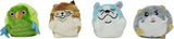 Sugar Skwisheez Home Bodies (assorted)