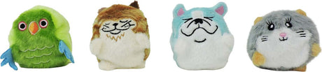 Sugar Skwisheez Home Bodies (assorted)