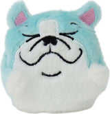 Sugar Skwisheez Home Bodies (assorted)