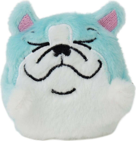 Sugar Skwisheez Home Bodies (assorted)
