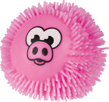 Farm Fresh When Pigs Fly