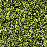 Bushes Clump-foliage 18 Cu.in. -- Light Green