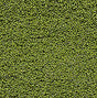 Bushes Clump-foliage 18 Cu.in. -- Light Green