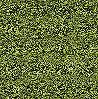 Bushes Clump-foliage 18 Cu.in. -- Light Green