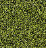 Bushes Clump-foliage 18 Cu.in. -- Medium Green