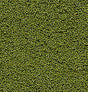 Bushes Clump-foliage 18 Cu.in. -- Medium Green