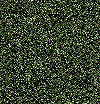 Bushes Clump-foliage 18 Cu.in. -- Forest Green