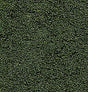 Bushes Clump-foliage 18 Cu.in. -- Forest Green