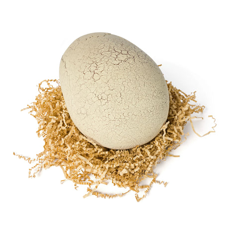 Jurassic World Primal Hatch Interactive Dino & Egg