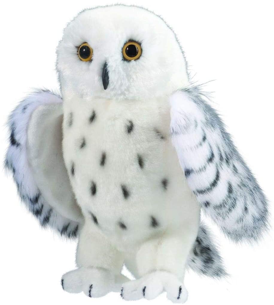 Legend Snowy Owl
