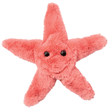 Coral Starfish