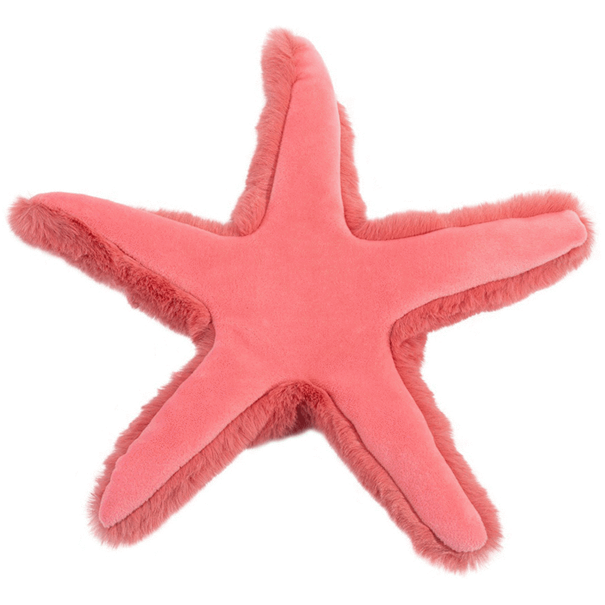 Coral Starfish