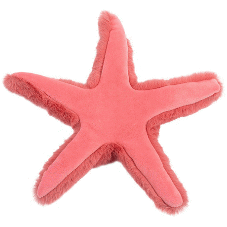 Coral Starfish