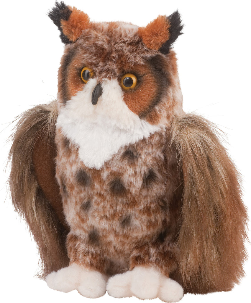 Einstein Great Horned Owl