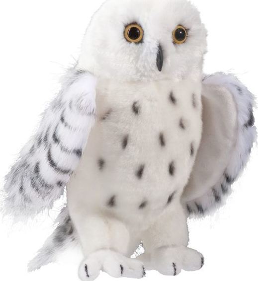 Legend Snowy Owl