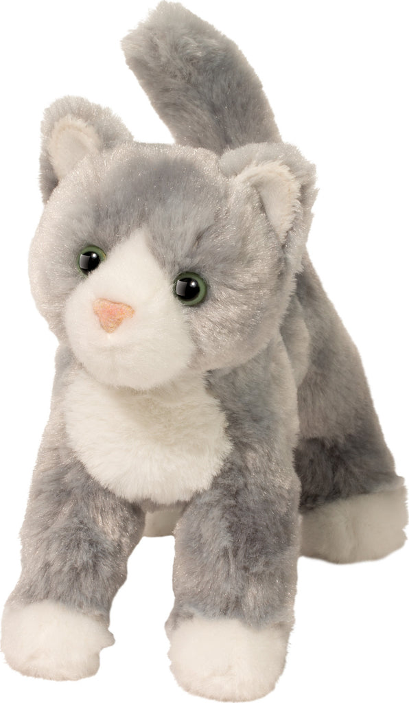 Scatter Gray Cat