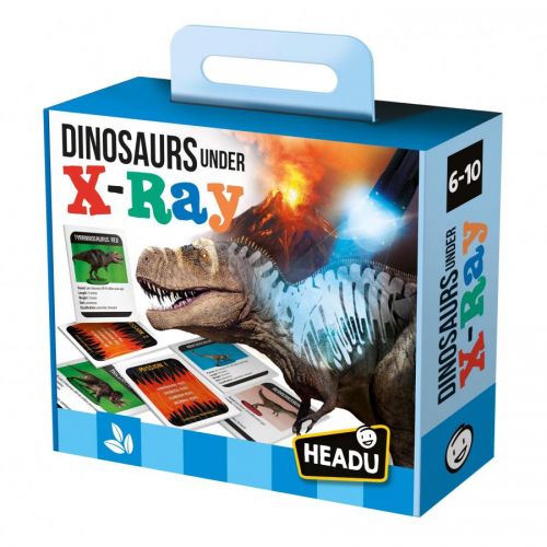 Dinosaurs under the X-Ray