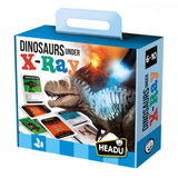 Dinosaurs under the X-Ray