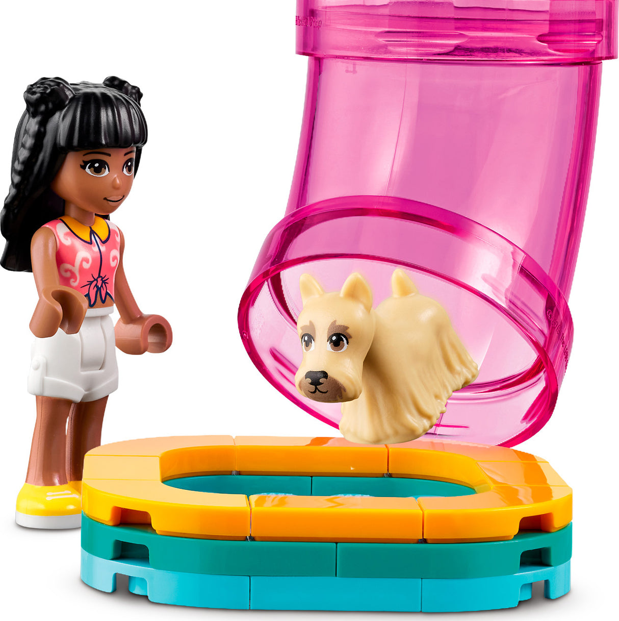 Pet Day-Care Center