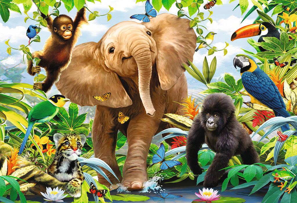 Jungle Juniors
