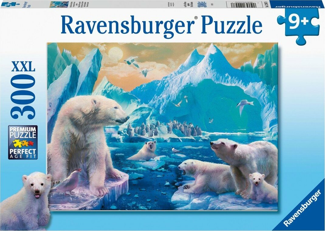 Polar Bear Kingdom