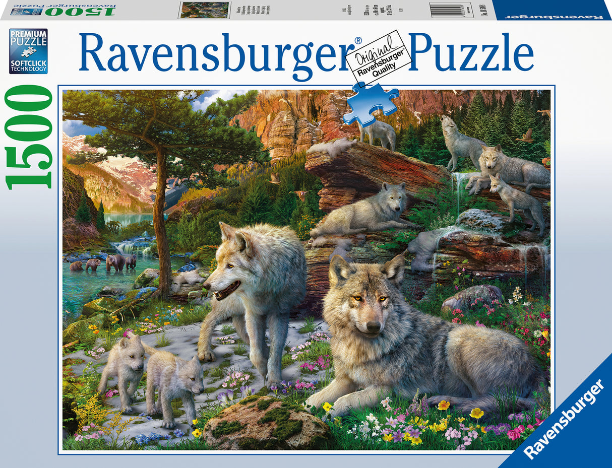 Wolves in Spring