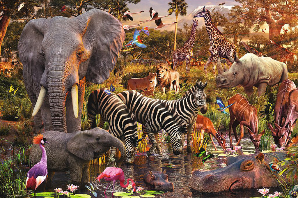 African Animal World 