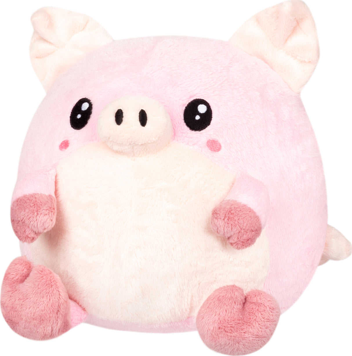 Undercover Pig in Clown