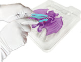 Dissect-It - Bat Lab