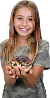 Catstronaut (12)