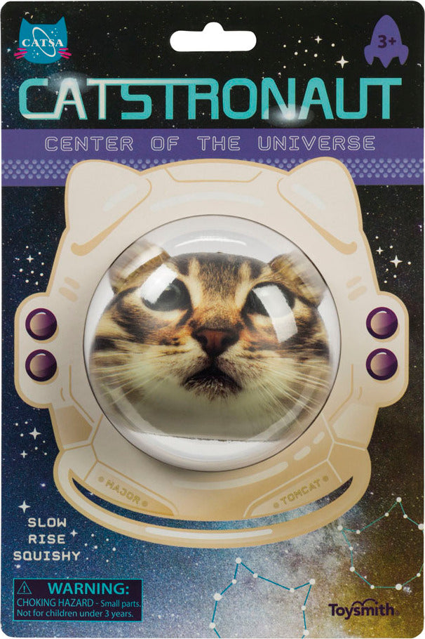 Catstronaut (12)